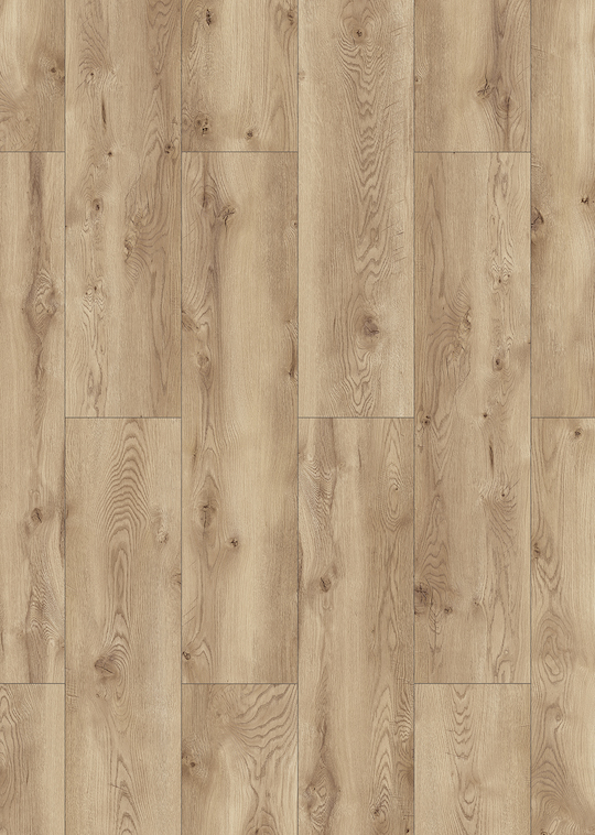 Fjordland Oak