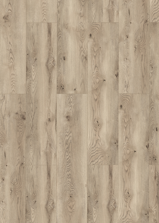 Indianapolis Oak
