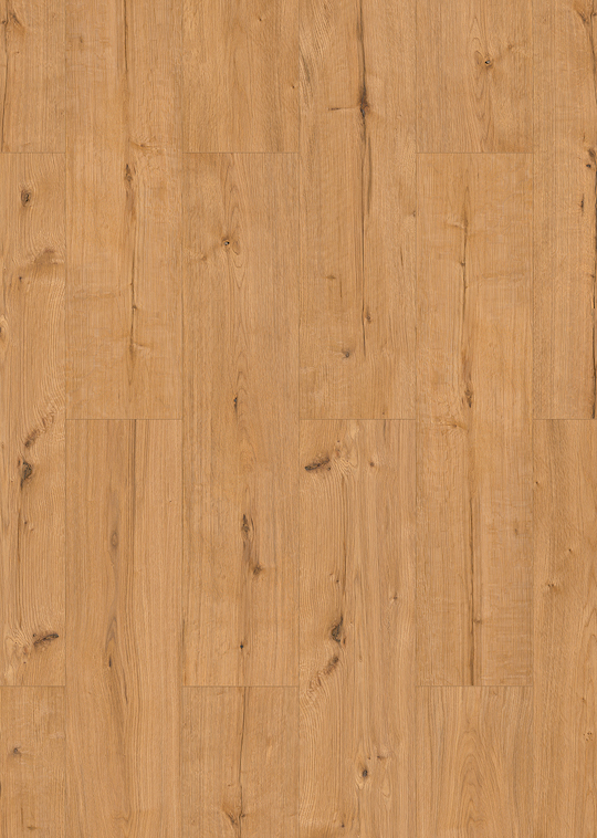 Kalahari Oak