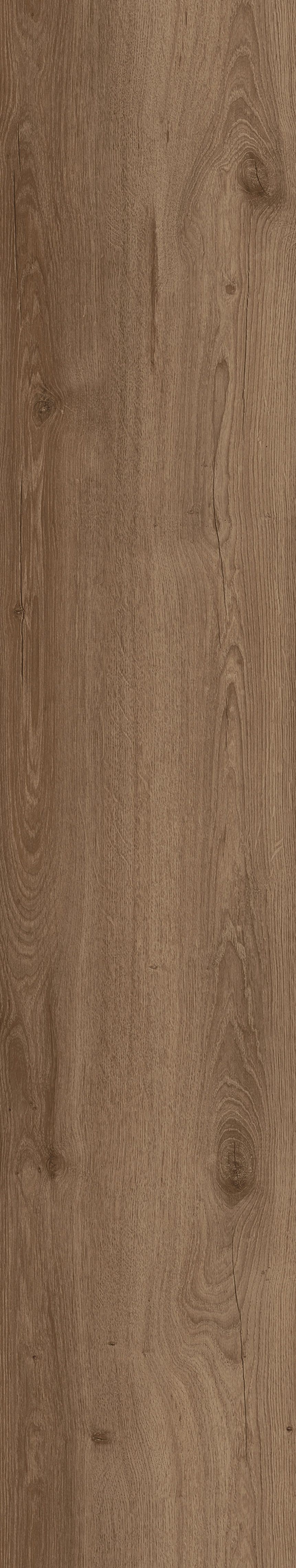 Natural Matt Laquered Taupe Oak Laminat Parke