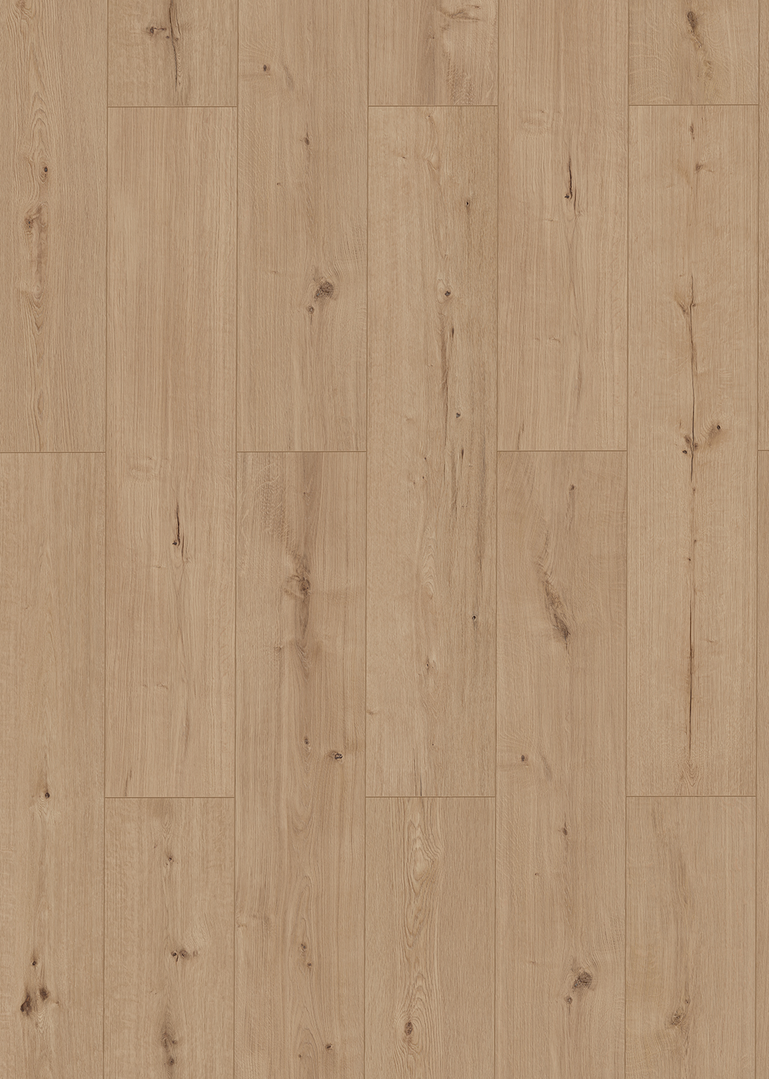 Risseiche Beige