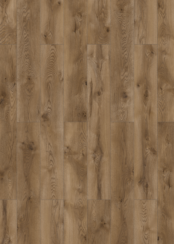 Serengeti Oak
