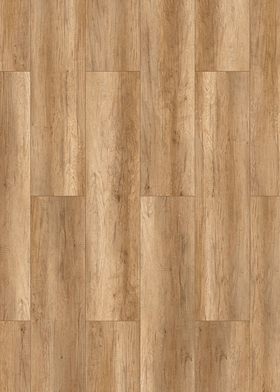 Sipadan Oak