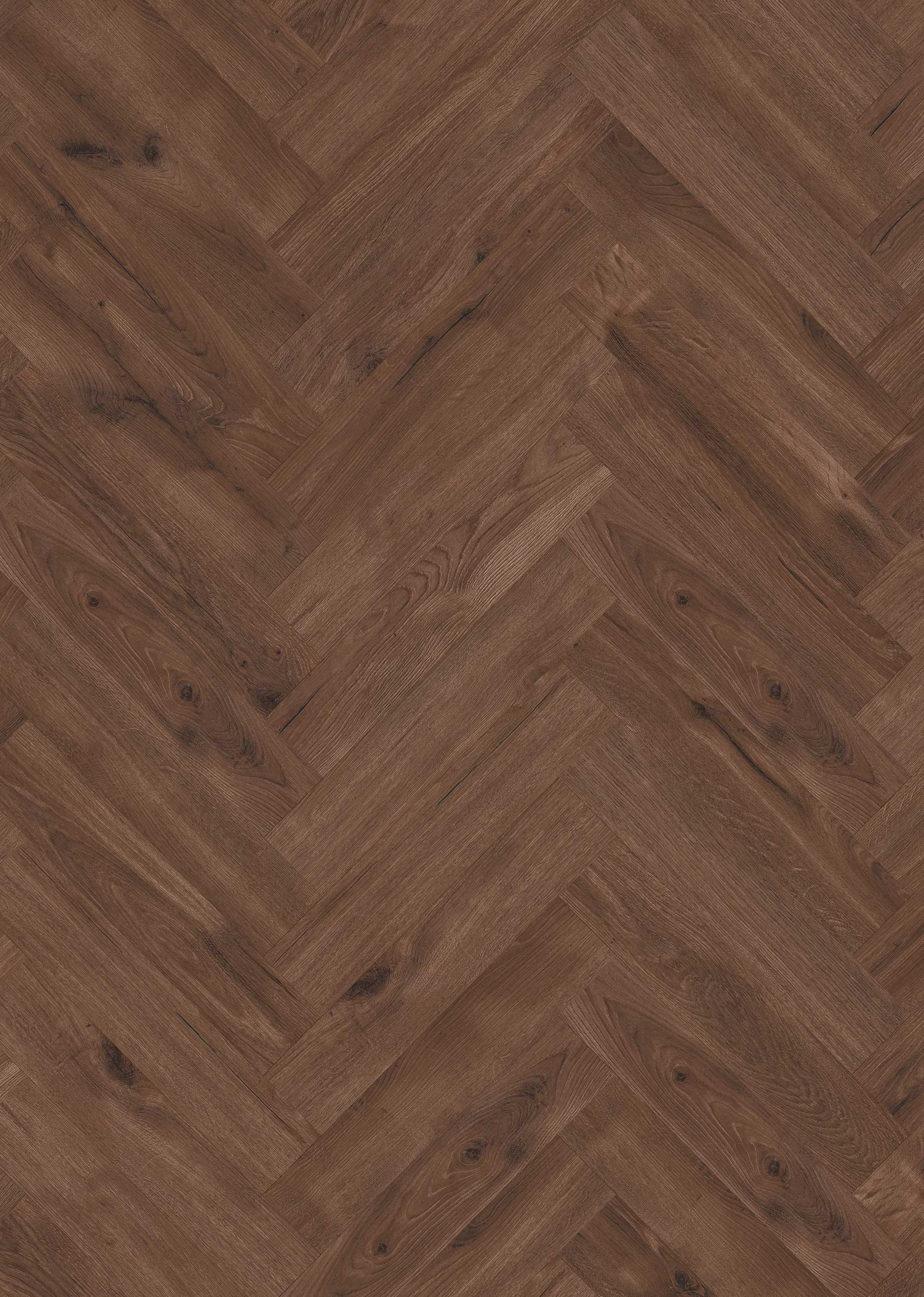 Cubana Oak R Choco Brown